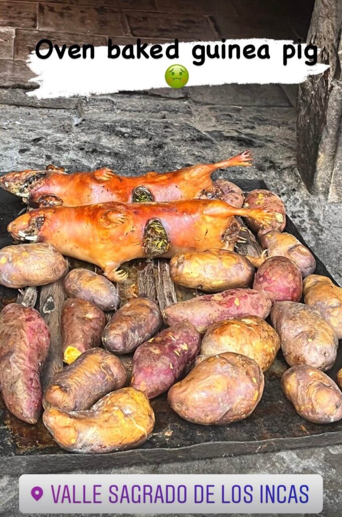 Oven baked guinea pig