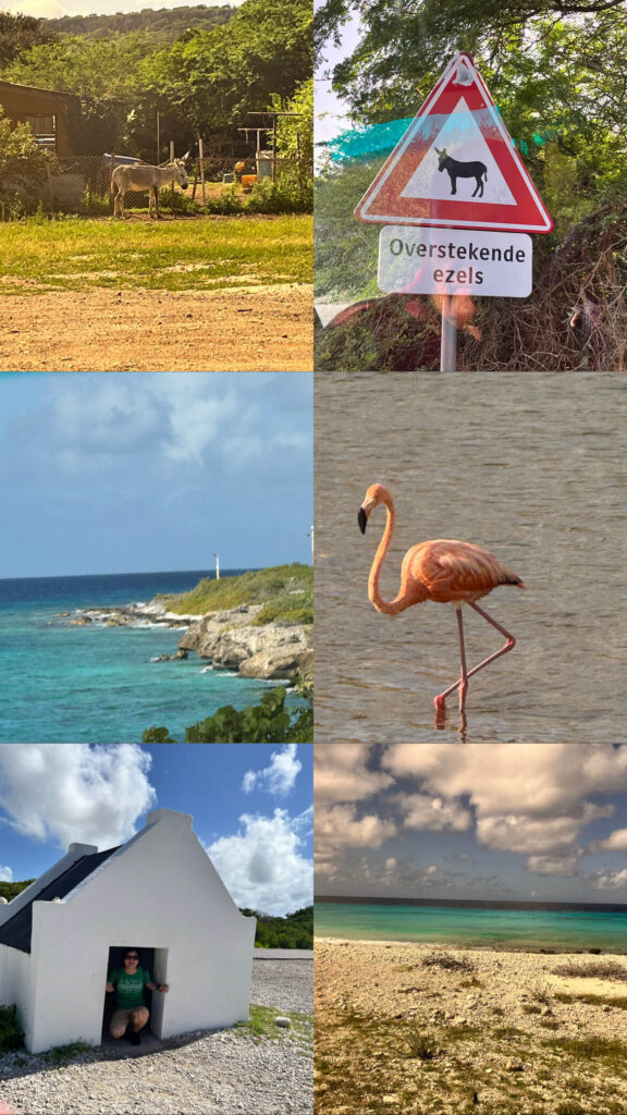 Bonaire 6